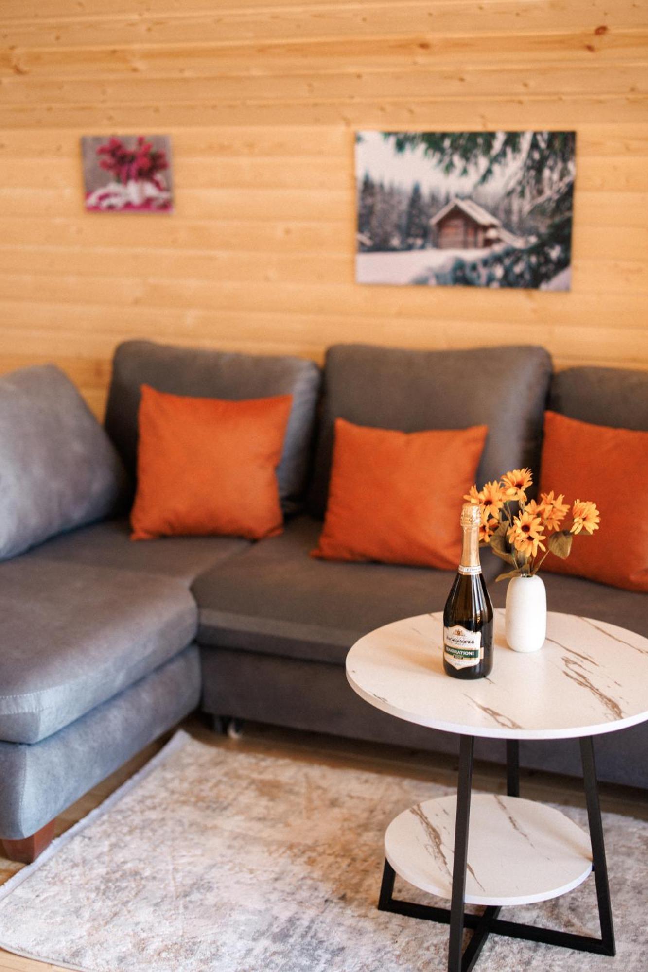 Vila Smart Via Kazbegi Exteriér fotografie