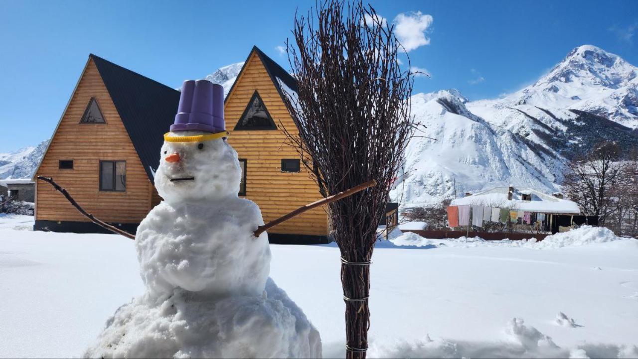 Vila Smart Via Kazbegi Exteriér fotografie